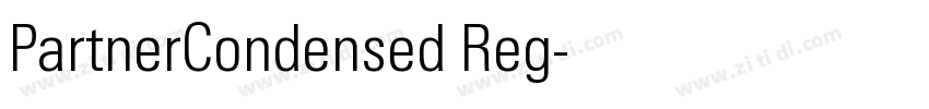 PartnerCondensed Reg字体转换